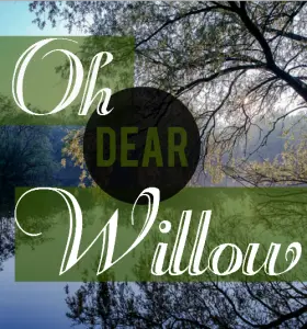 Oh Dear Willow Graphic