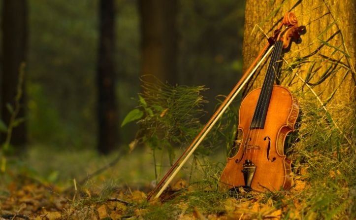 The Fiddler and the Tree | A Poem