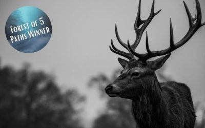 Deer Family, I Will Avenge You | Forest of 5 Paths Short Story Contest