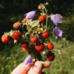 Profile picture of Cj