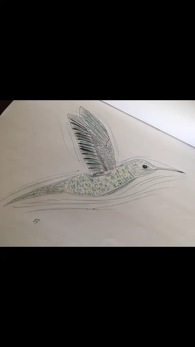 I drew a hummingbird. Ta-da!
